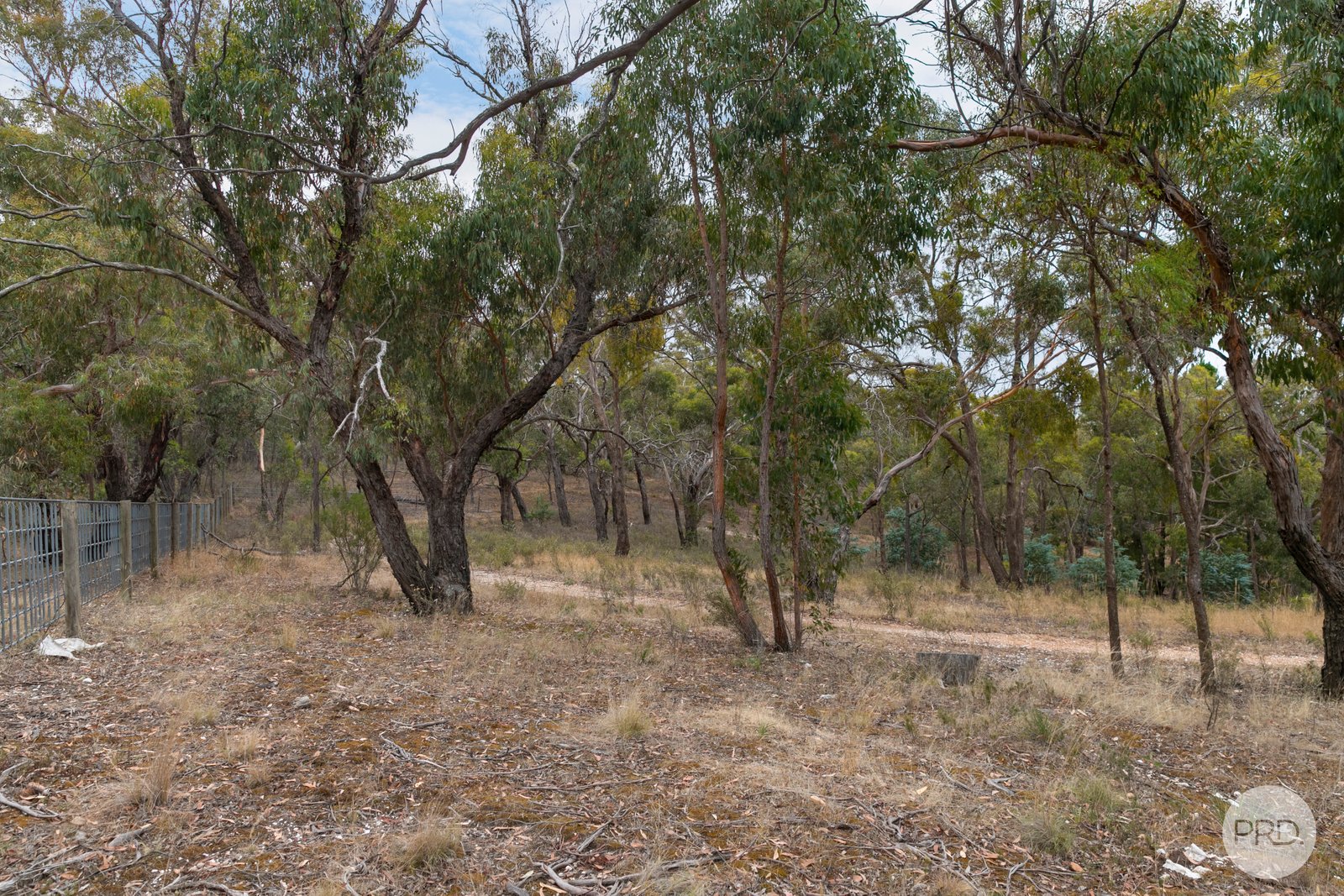 384 Browns Road DEREEL 15