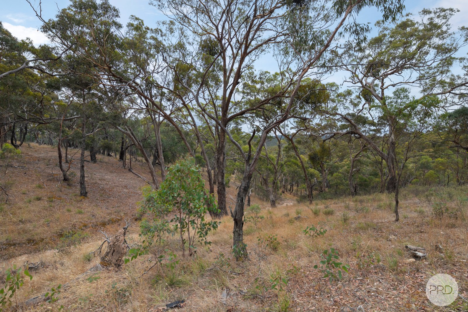 384 Browns Road DEREEL 16
