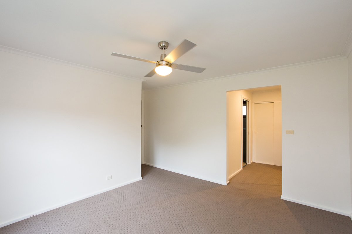 Gallery: 384 Forest Street