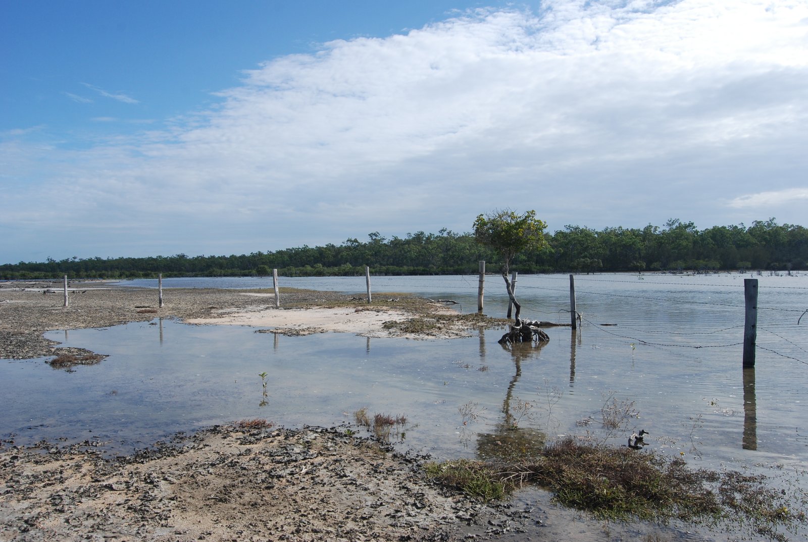 386 INTREPID Drive FORESHORES 27