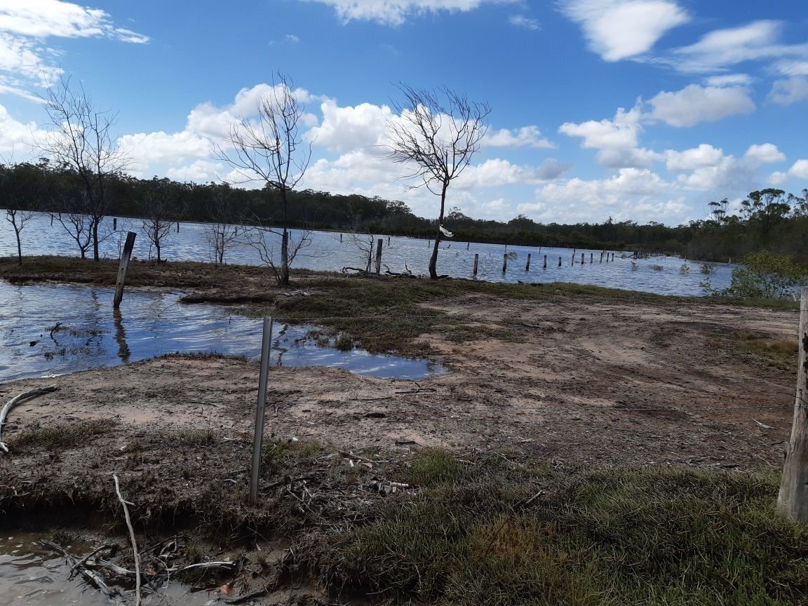 386 INTREPID Drive FORESHORES 31