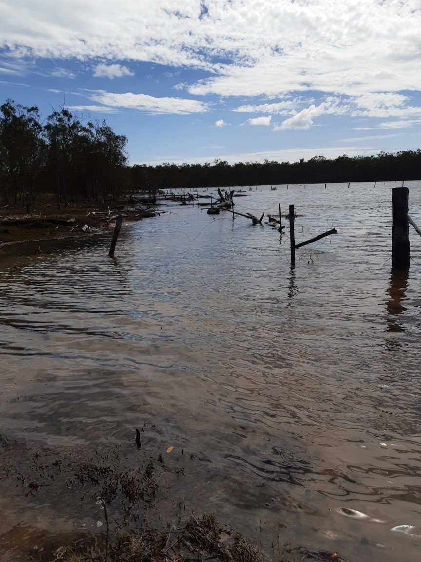 386 INTREPID Drive FORESHORES 32