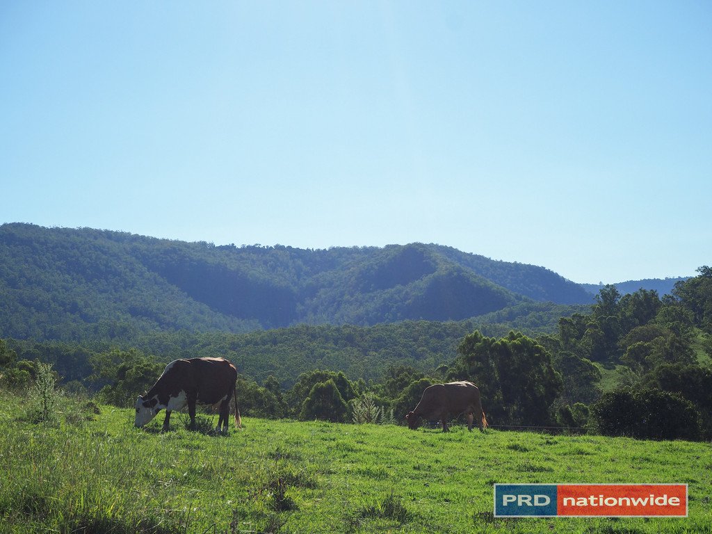 387 Roseberry Creek Road KYOGLE 2