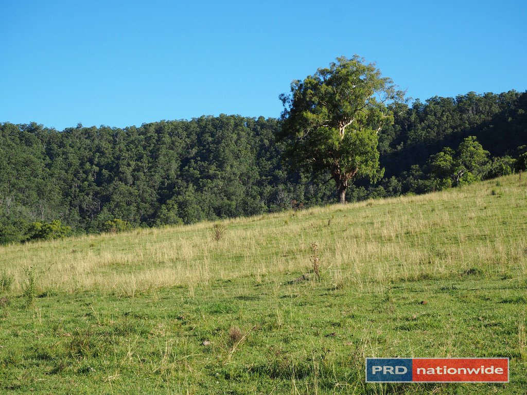 387 Roseberry Creek Road KYOGLE 7