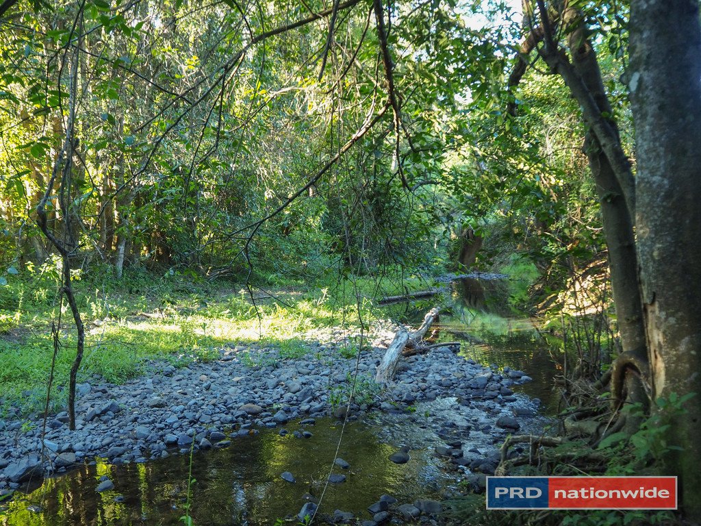 387 Roseberry Creek Road KYOGLE 10