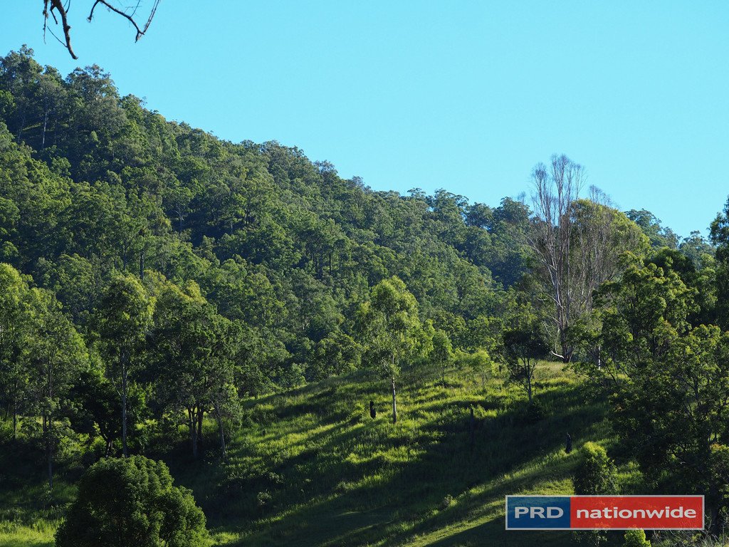 387 Roseberry Creek Road KYOGLE 11