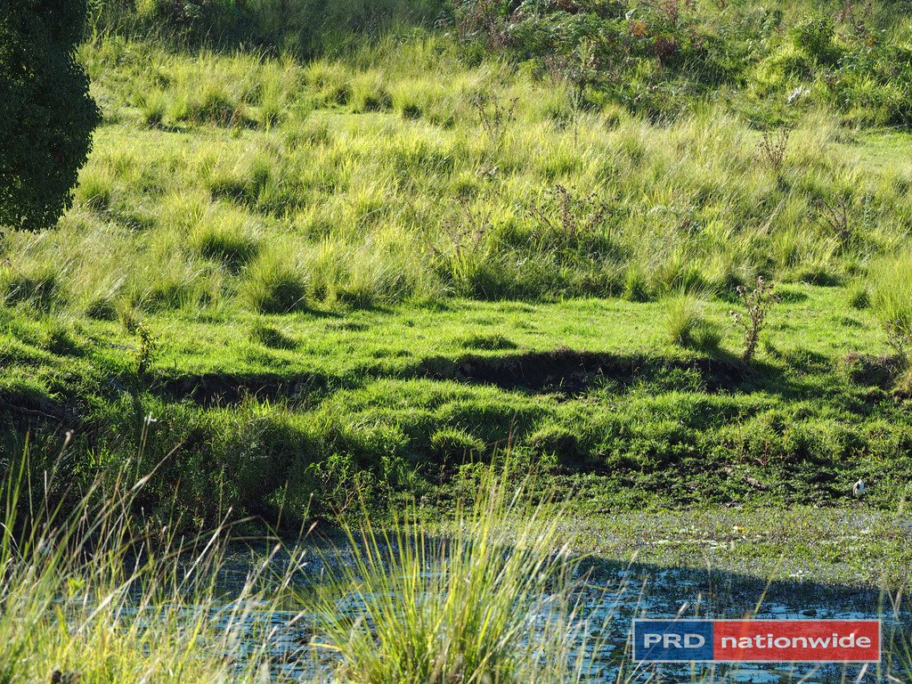 387 Roseberry Creek Road KYOGLE 12