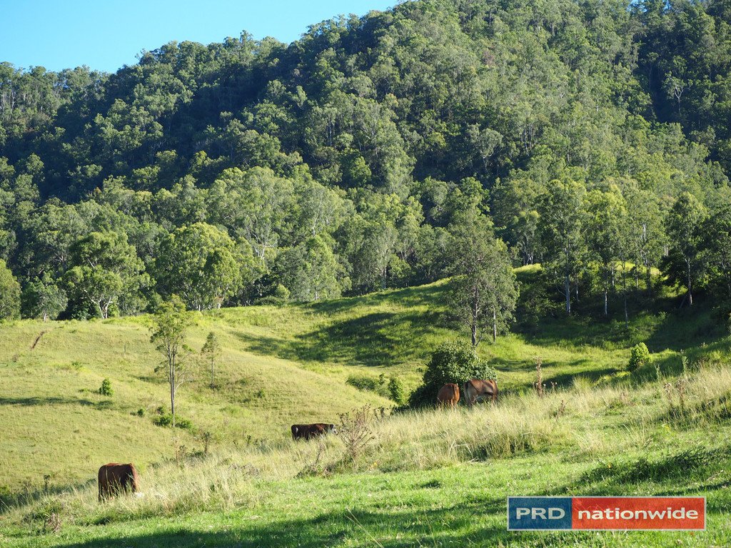 387 Roseberry Creek Road KYOGLE 14