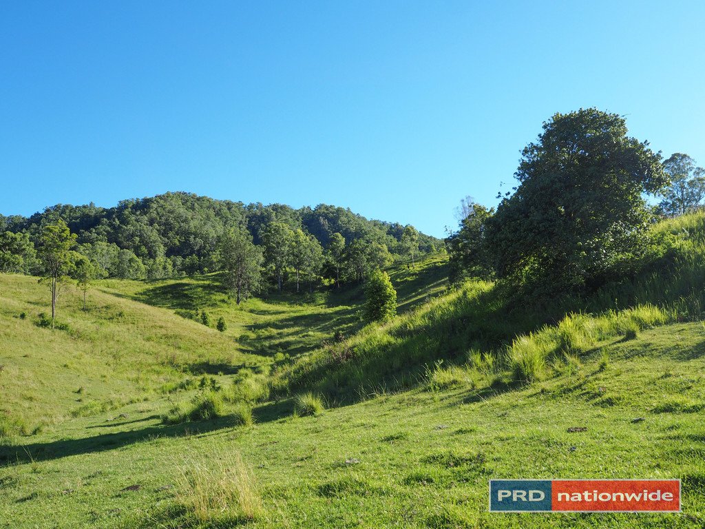387 Roseberry Creek Road KYOGLE 15