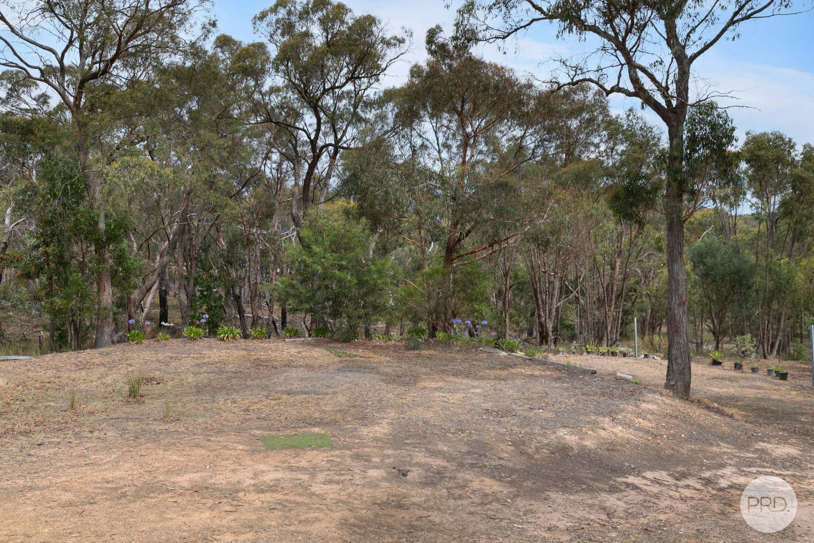 388 Ferrers Road DEREEL 1