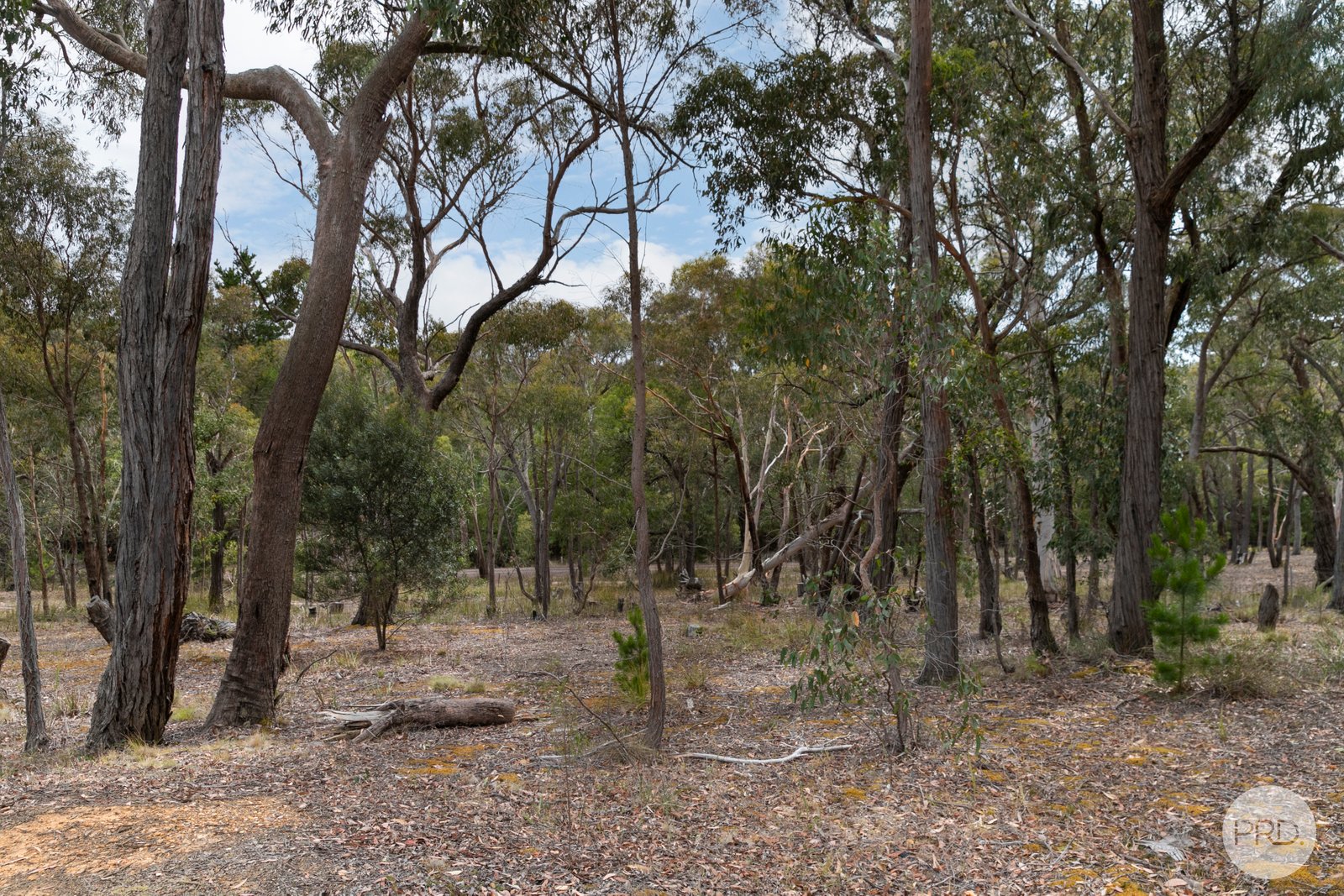 388 Ferrers Road DEREEL 7