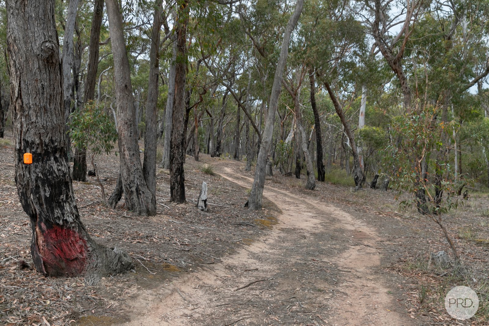 388 Ferrers Road DEREEL 8