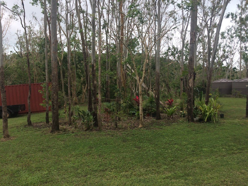 388 Paluma Road WOODWARK 20