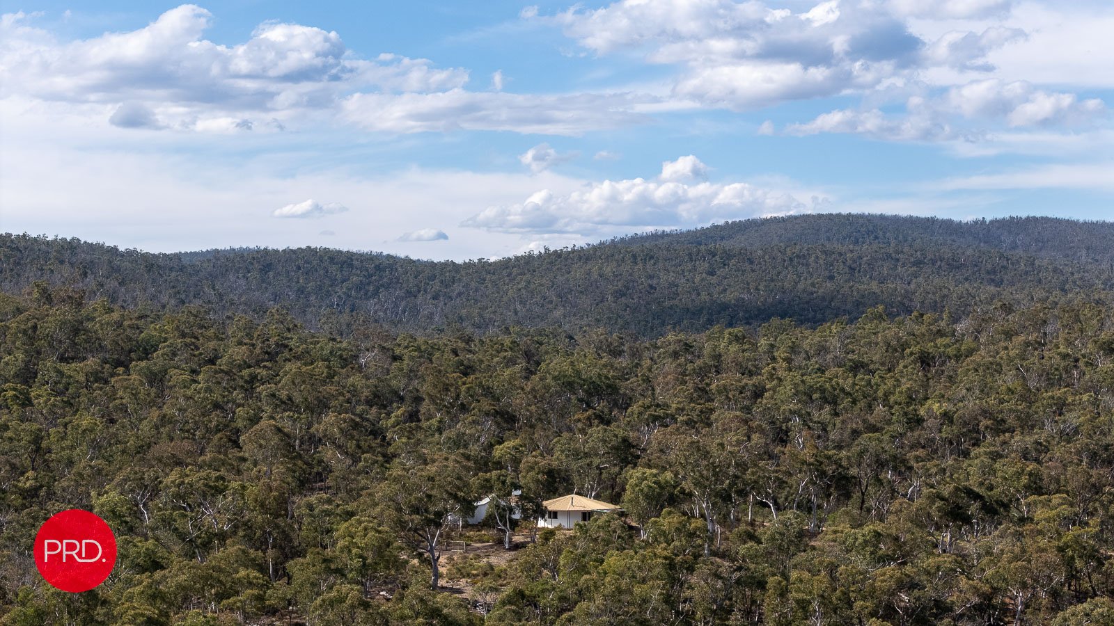 388 Peak View Rd  NUMERALLA 26