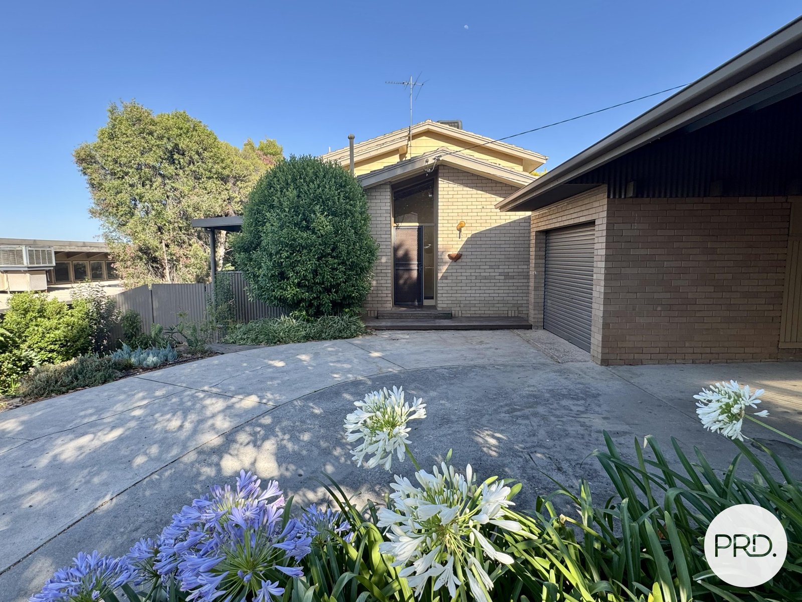 389 Paul Avenue LAVINGTON 2