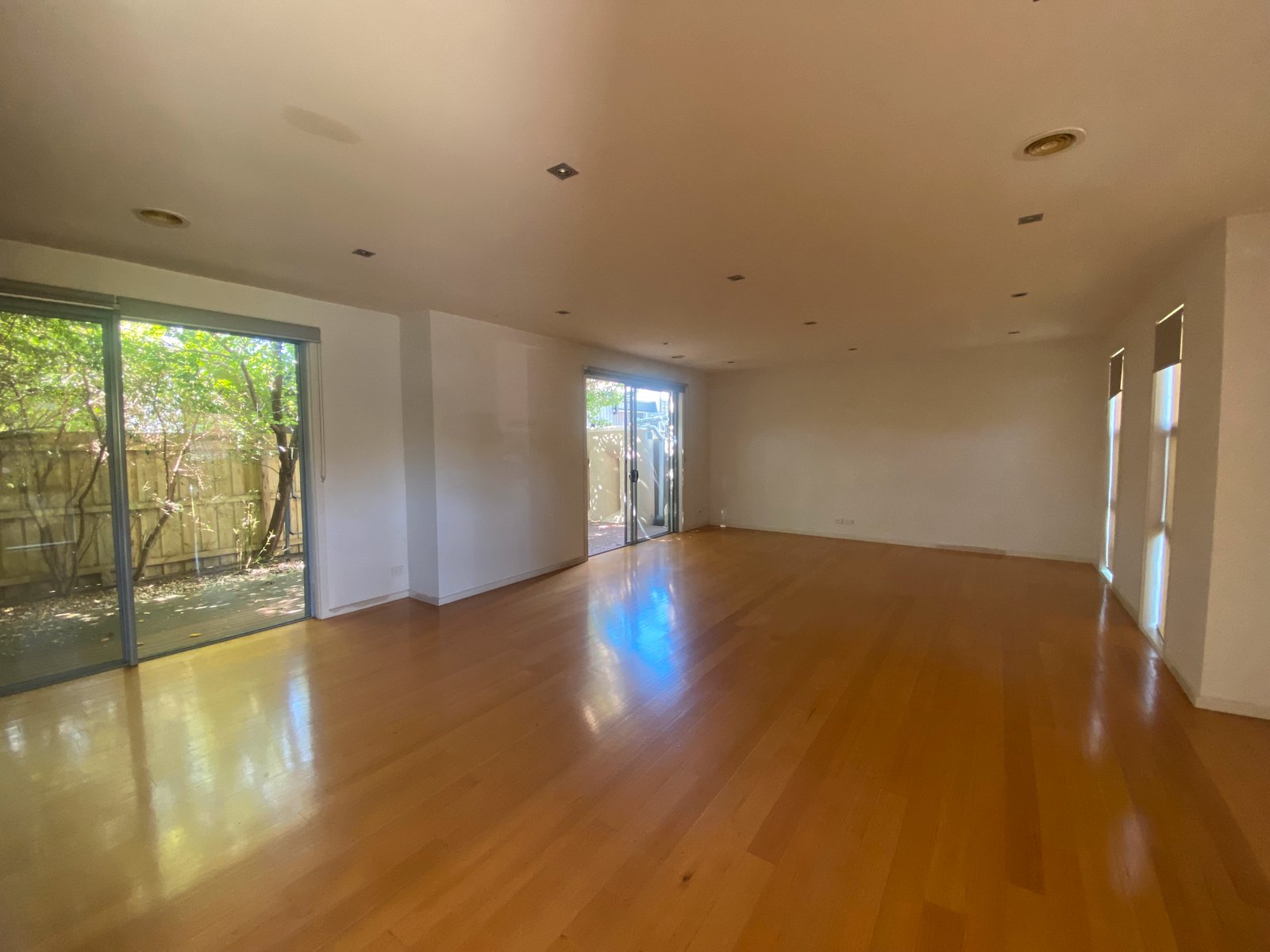 Gallery: 38a Junction Street