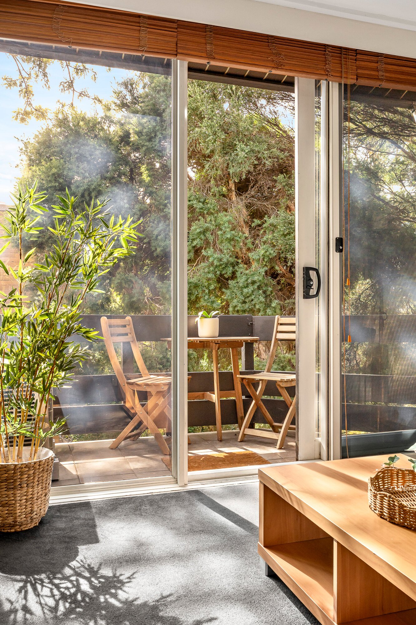 Gallery: 38B Napier Street