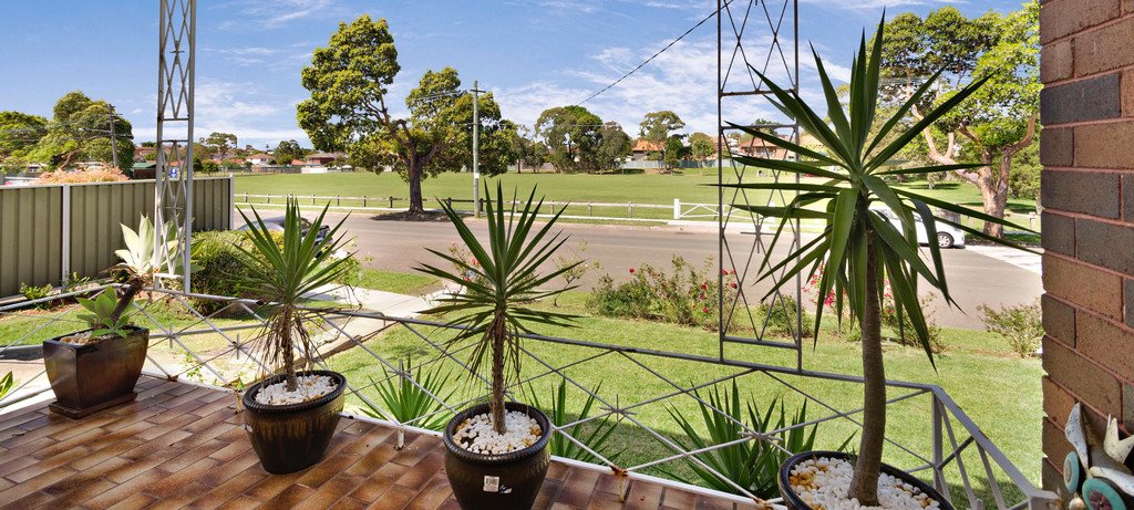 39 Alfred Street CLEMTON PARK 2