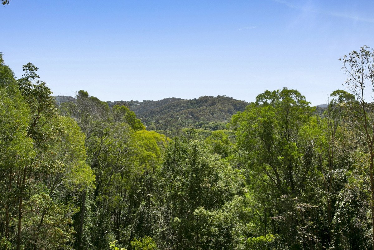 39 Bourke Lodge Drive Currumbin Valley 23