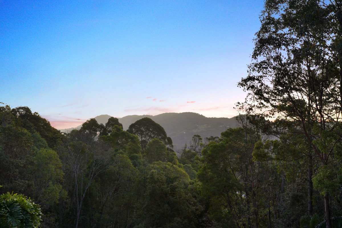 39 Bourke Lodge Drive Currumbin Valley 28