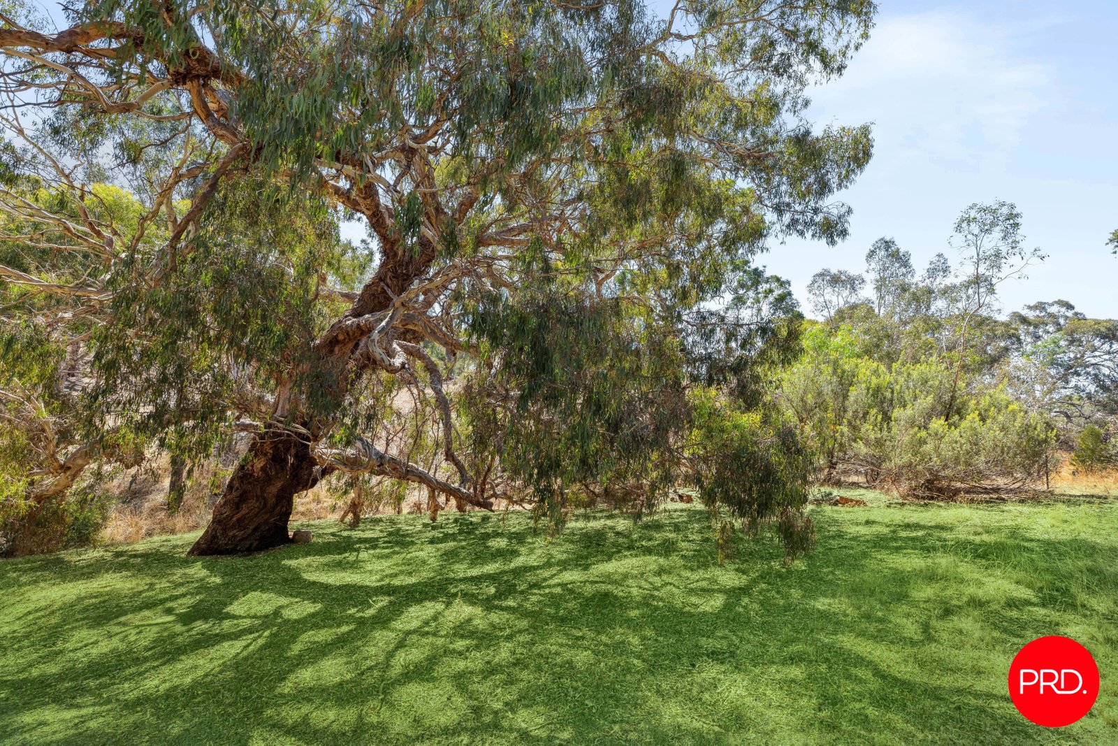 39 Burkes Lane REDESDALE 14