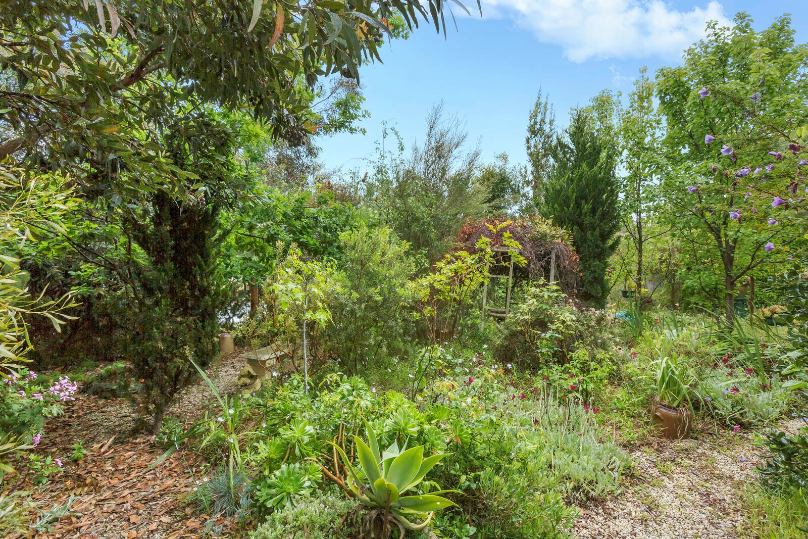 Real Estate and Property in 39 Edwards Point Road, St Leonards, VIC