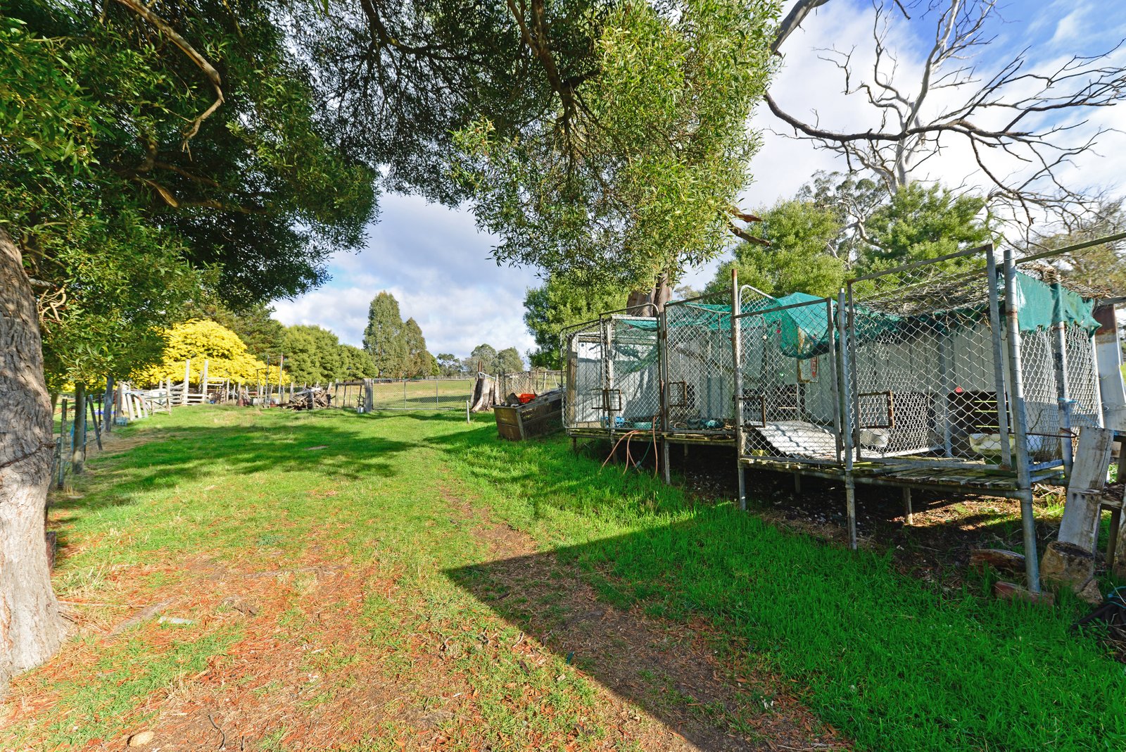 39 Ellendale Road WESTERWAY 19