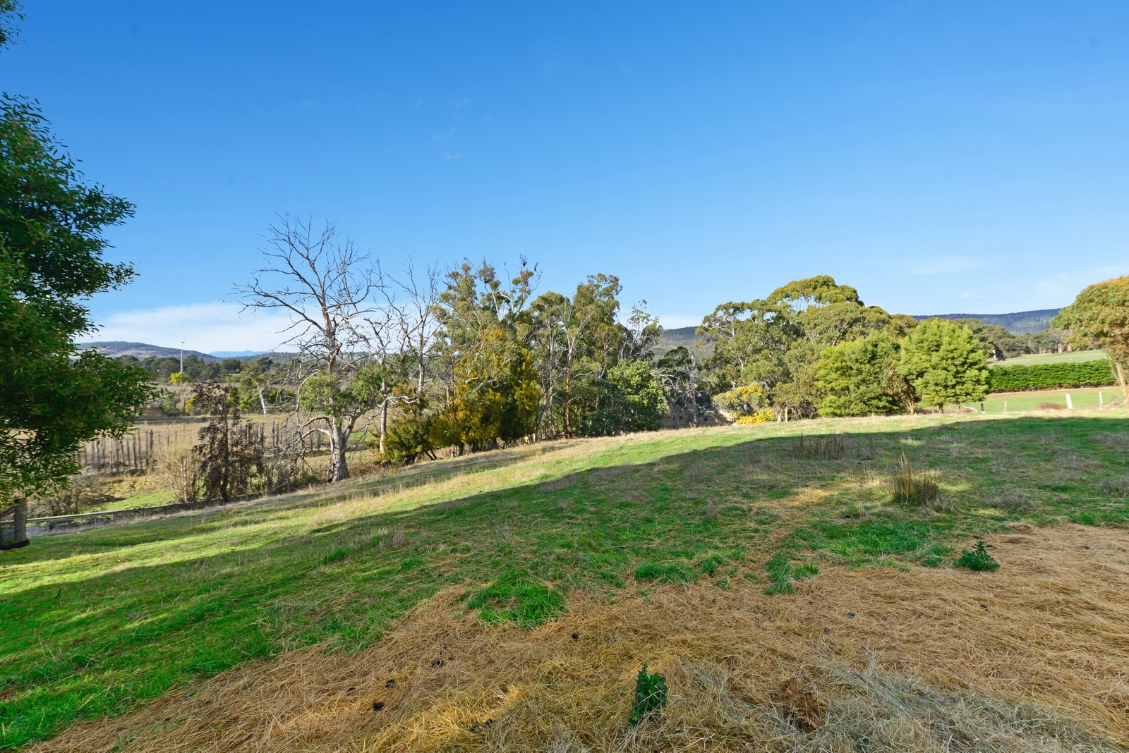 39 Ellendale Road WESTERWAY 20