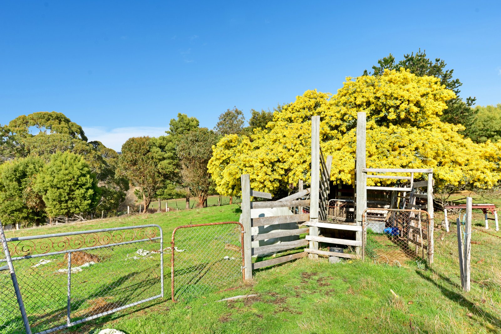 39 Ellendale Road WESTERWAY 21