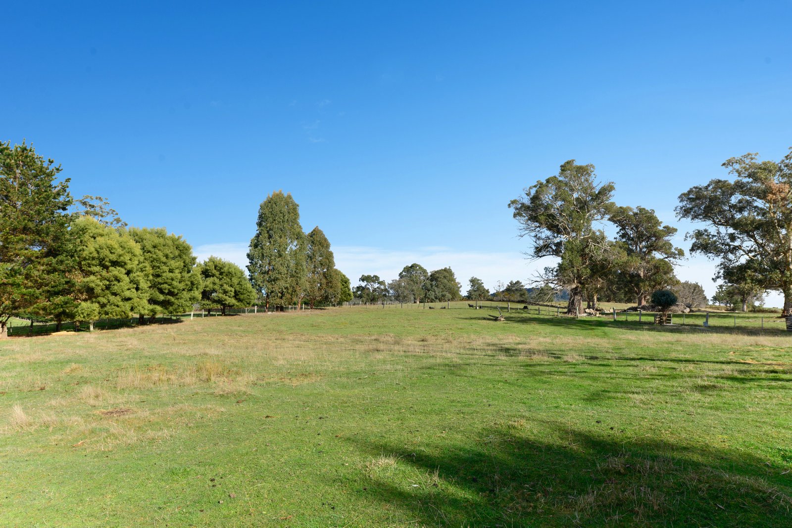 39 Ellendale Road WESTERWAY 22