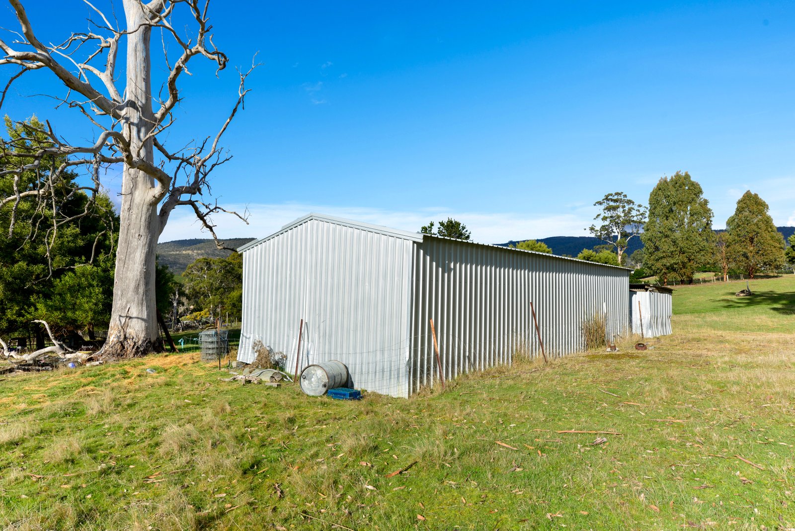 39 Ellendale Road WESTERWAY 24