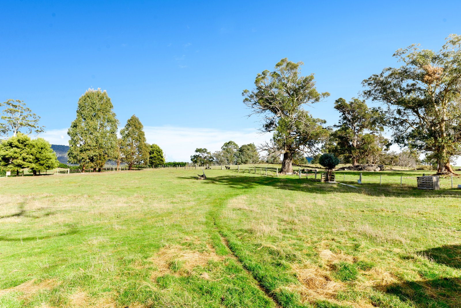 39 Ellendale Road WESTERWAY 25