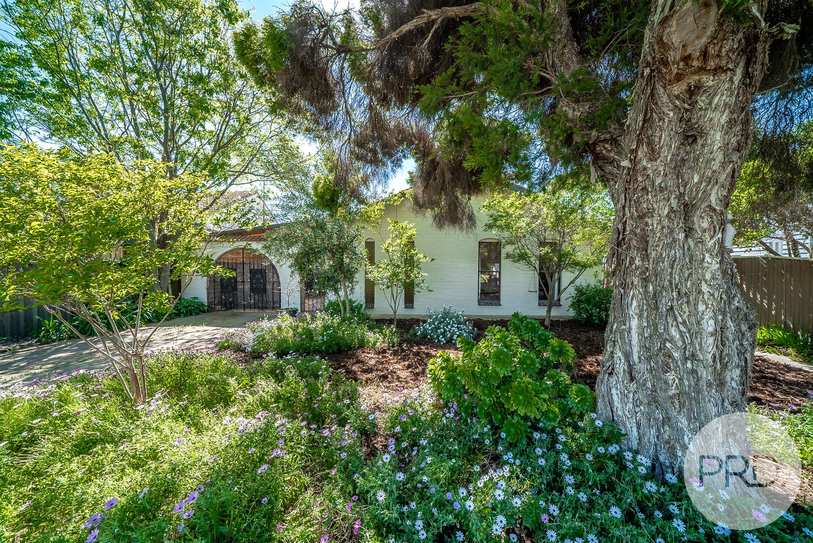 39 Evans Street WAGGA WAGGA 12