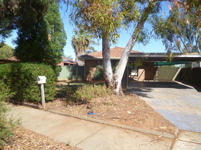 39 Flamingo Drive MILDURA 1