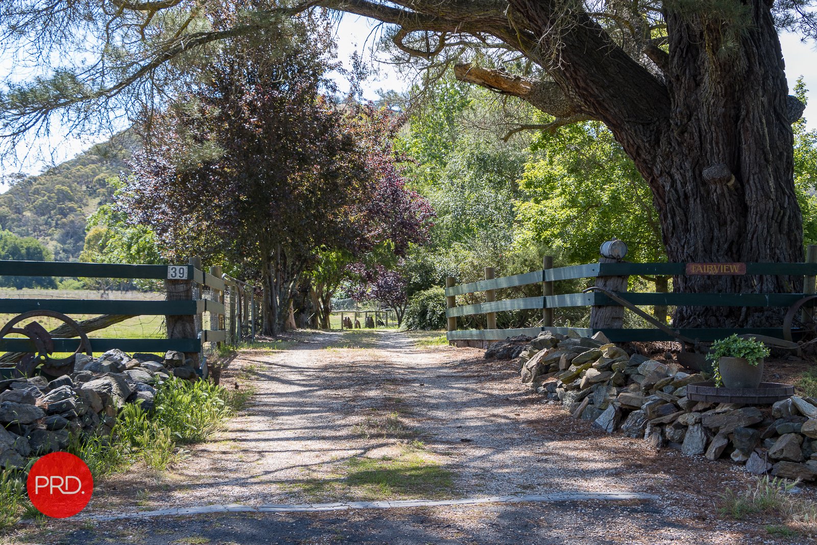 39 Lake Road BUNGENDORE 11