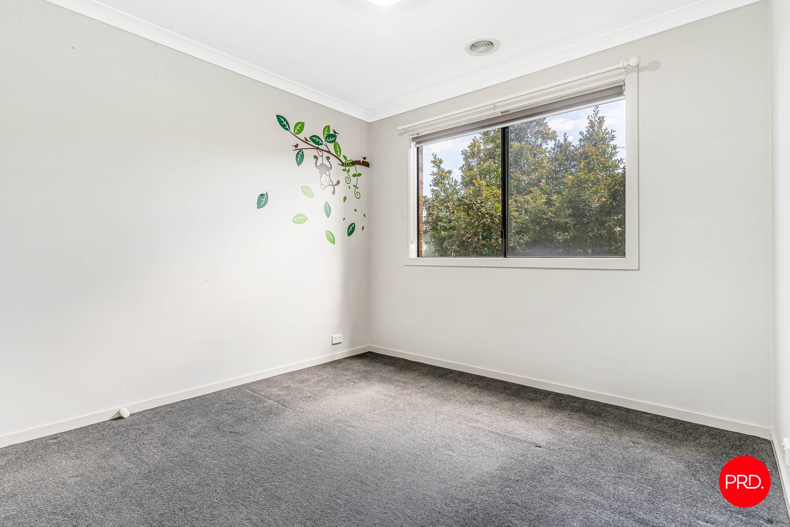 39 Mcinnes Street BIG HILL 14