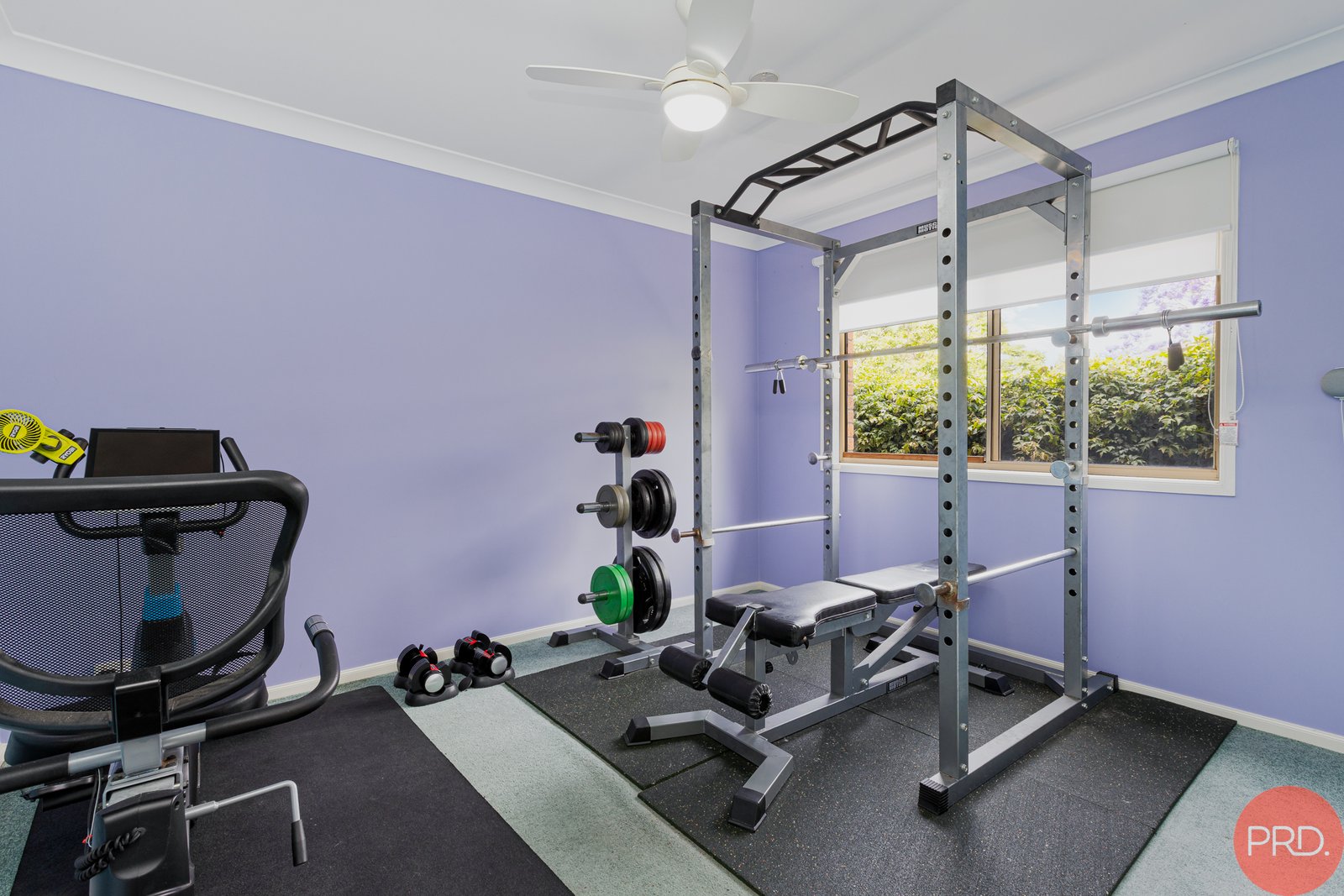 39 Mitchell Street NORTH ROTHBURY 12