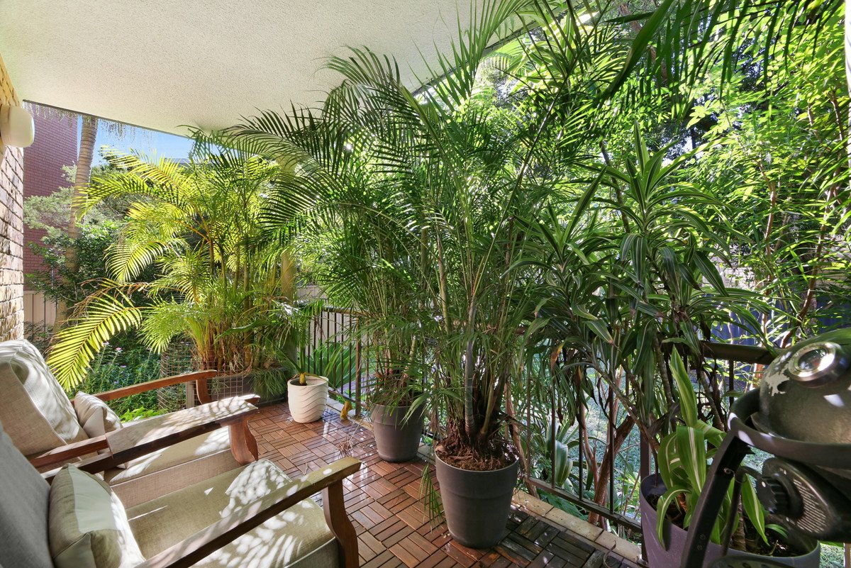 3/9 Nalla Court Palm Beach 11