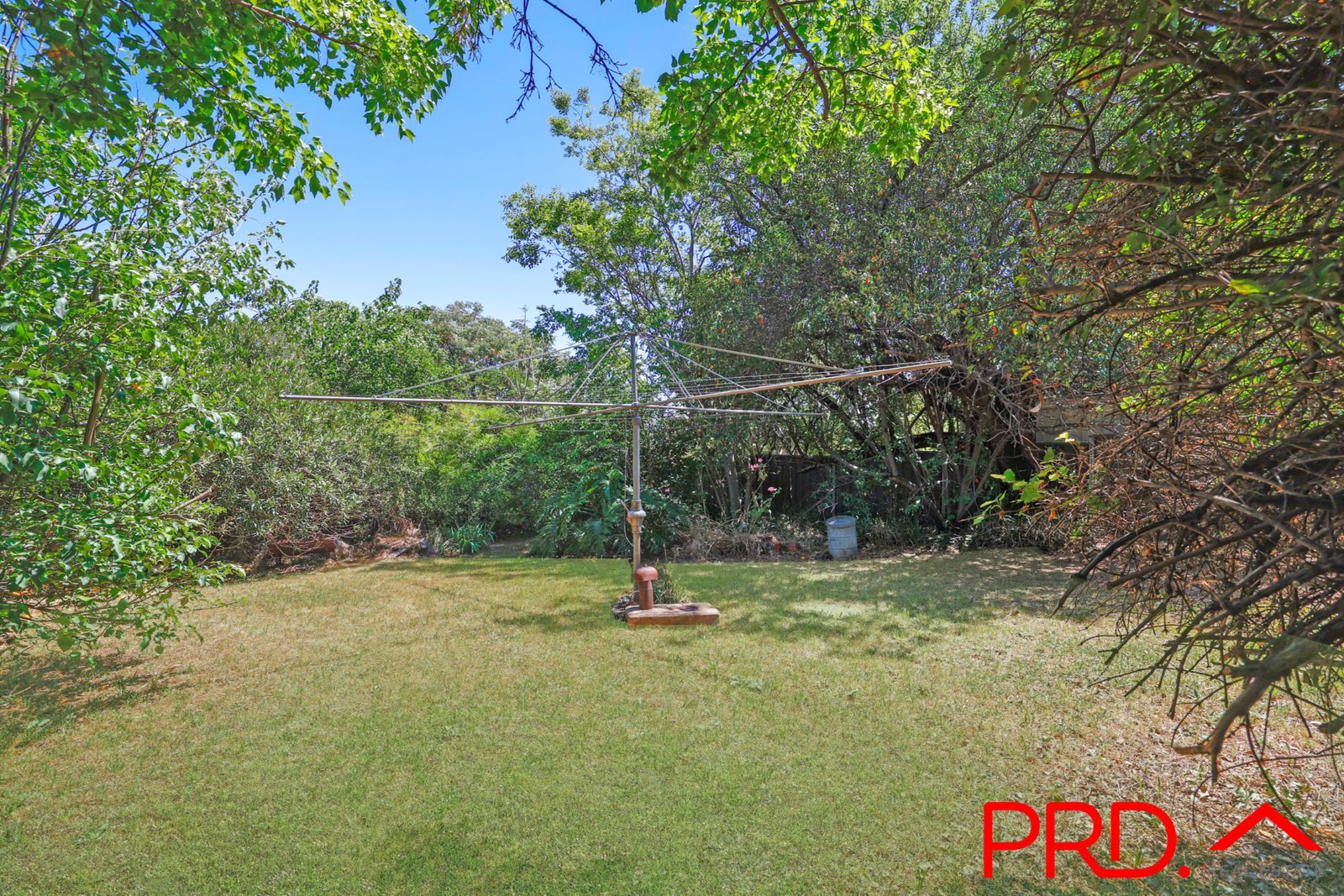 39 Napier Street TAMWORTH 14