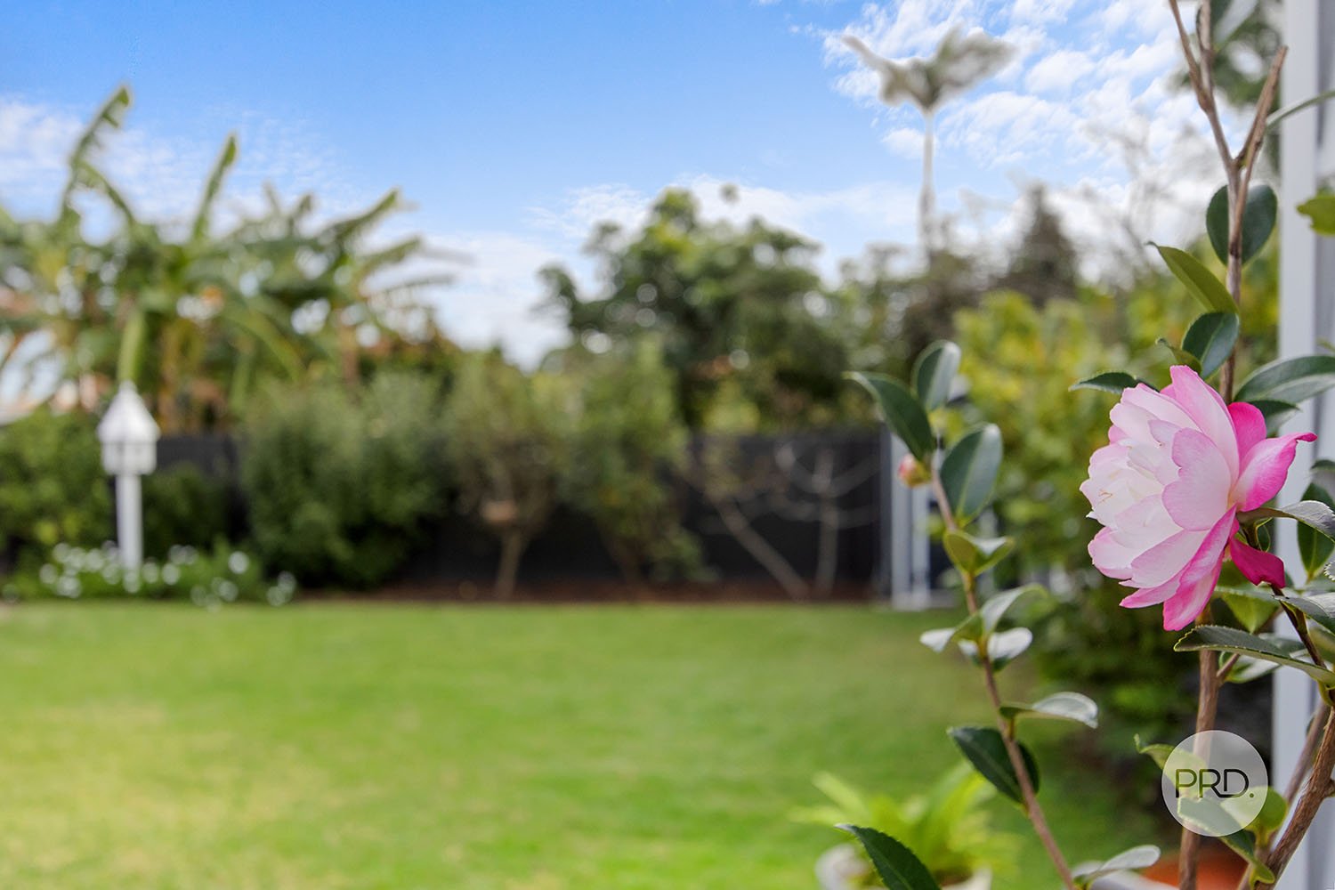 39 Pacific Avenue PENSHURST 16