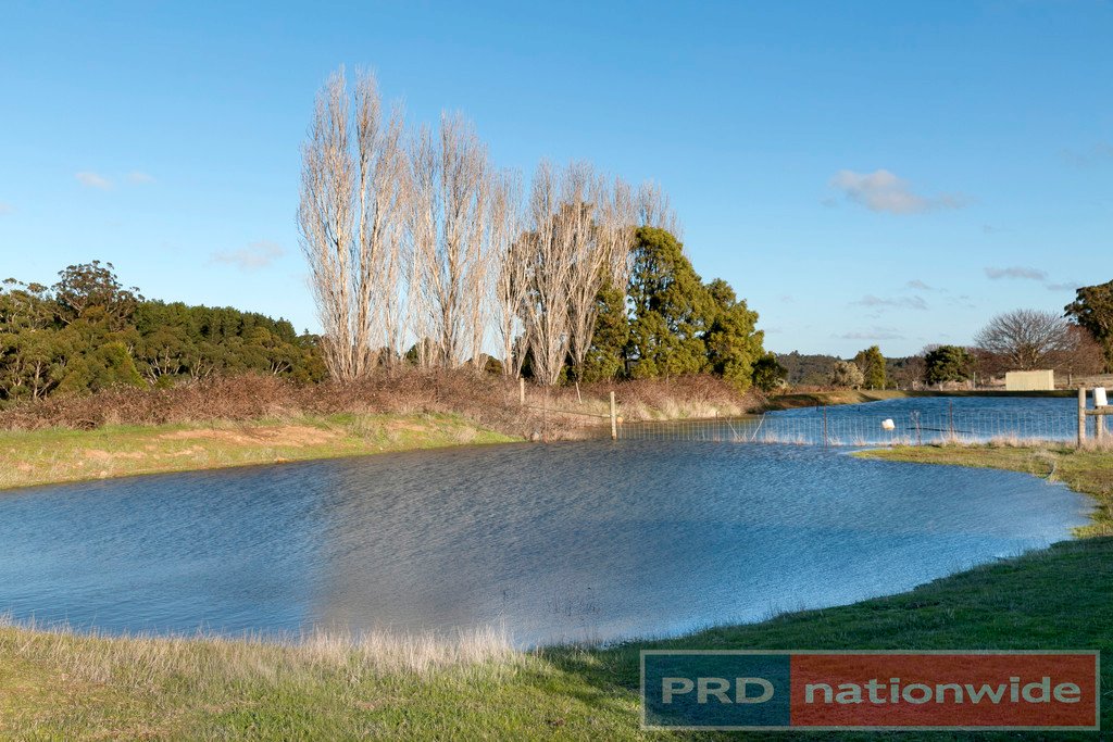 39 Poverty Peak Court GORDON 4