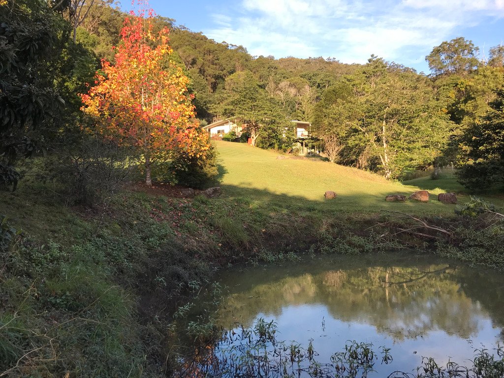 39 Rusty Court TALLEBUDGERA VALLEY 2