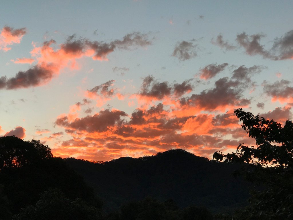 39 Rusty Court TALLEBUDGERA VALLEY 19