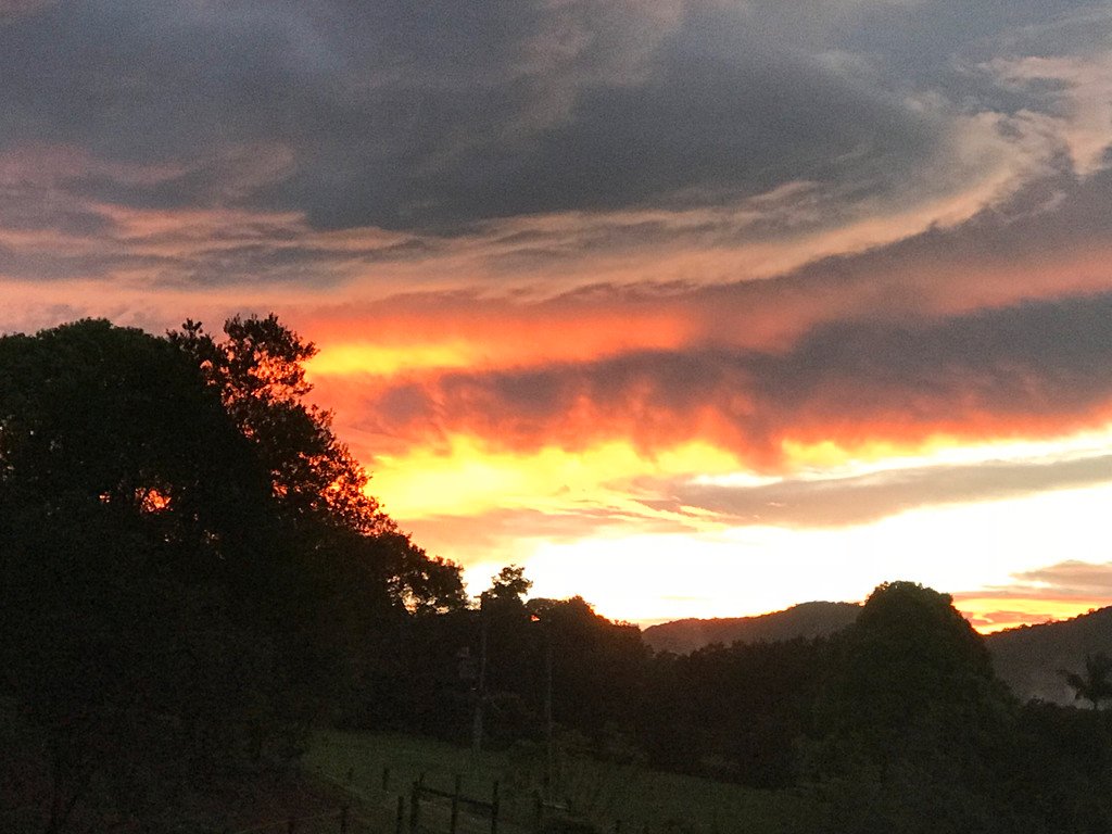 39 Rusty Court TALLEBUDGERA VALLEY 20