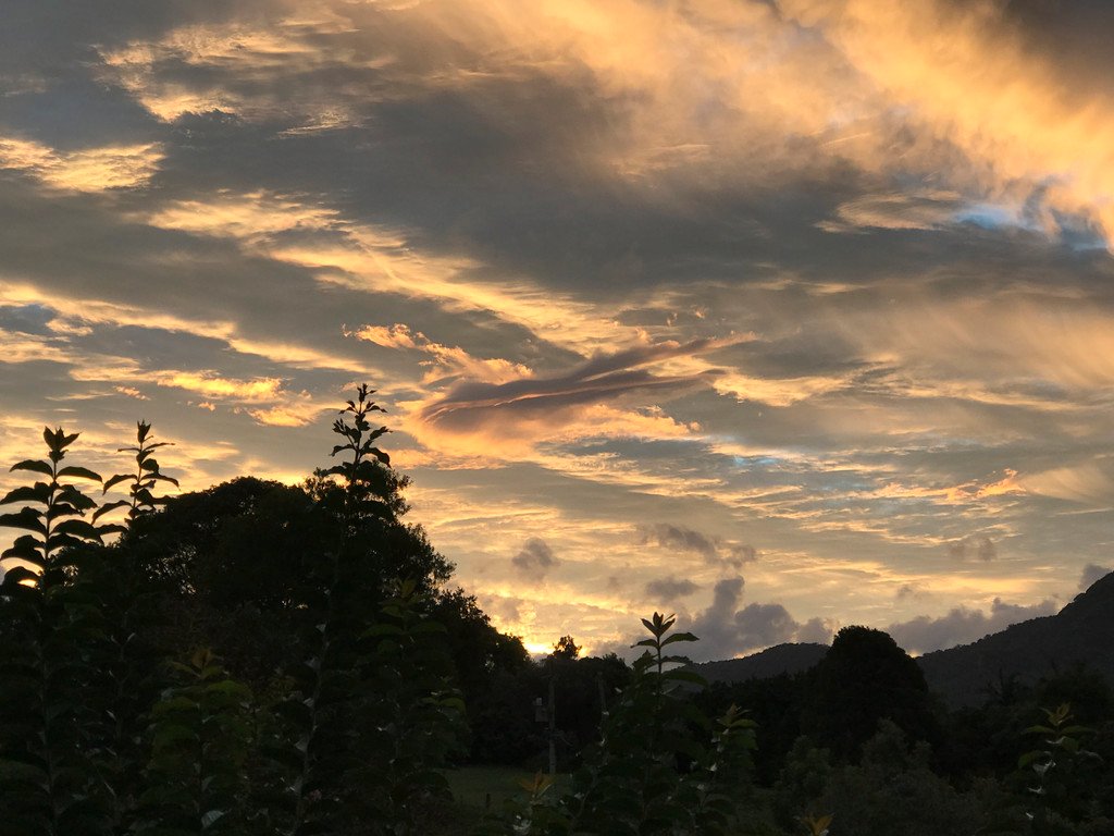 39 Rusty Court TALLEBUDGERA VALLEY 21