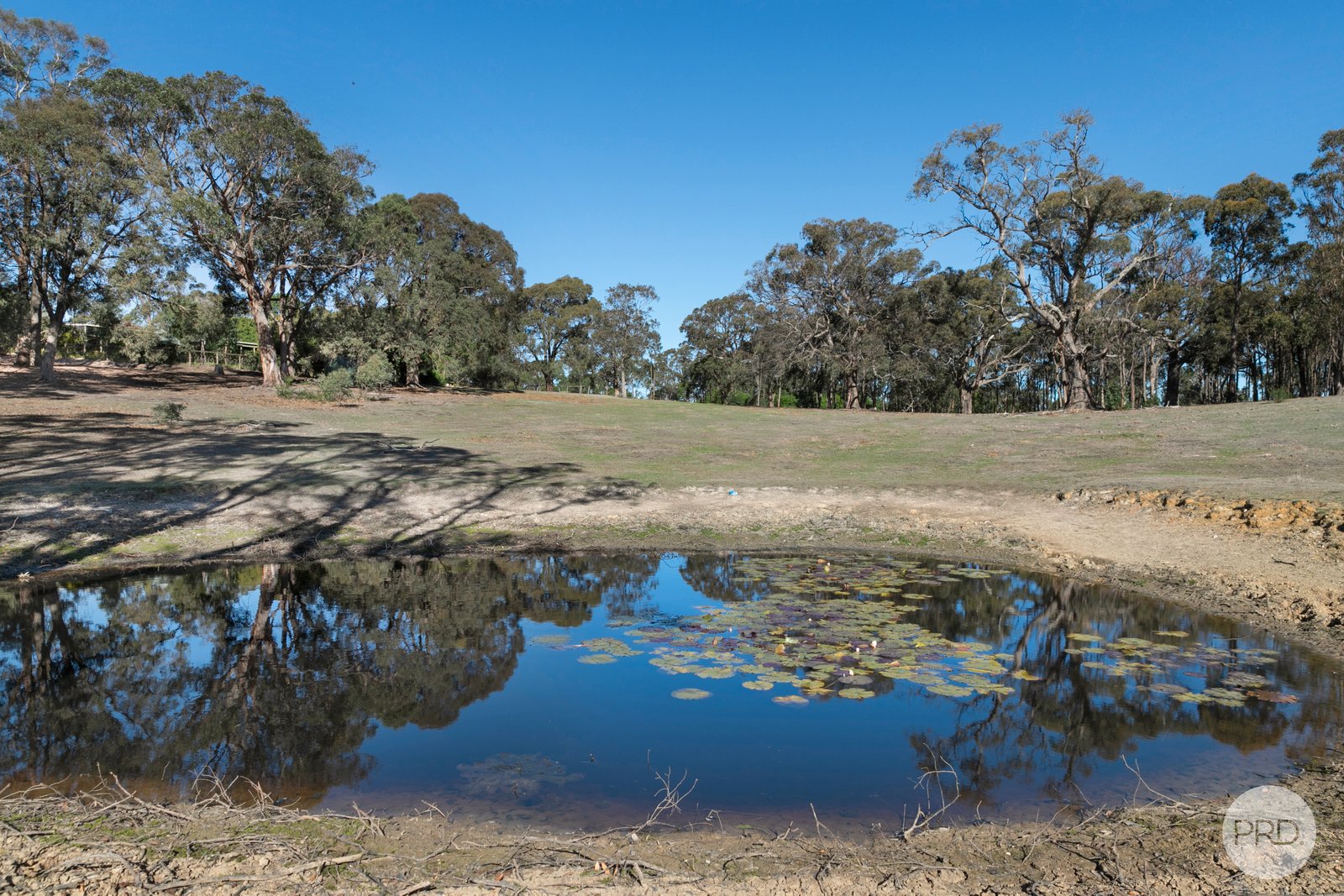 39 Waddell Road SMYTHES CREEK 18