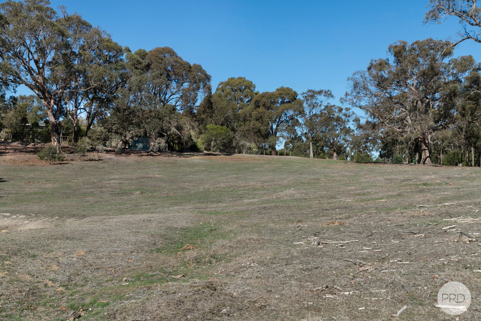 39 Waddell Road SMYTHES CREEK 20