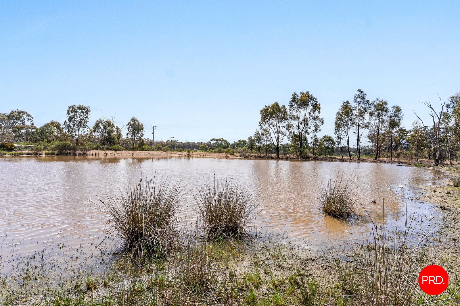 39 Wellsford Road LONGLEA 4