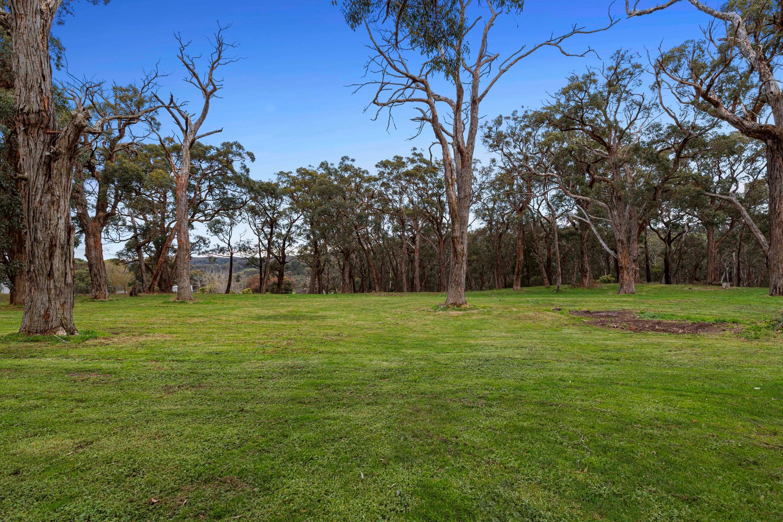 390 Baldrys Road, Main Ridge, 3928