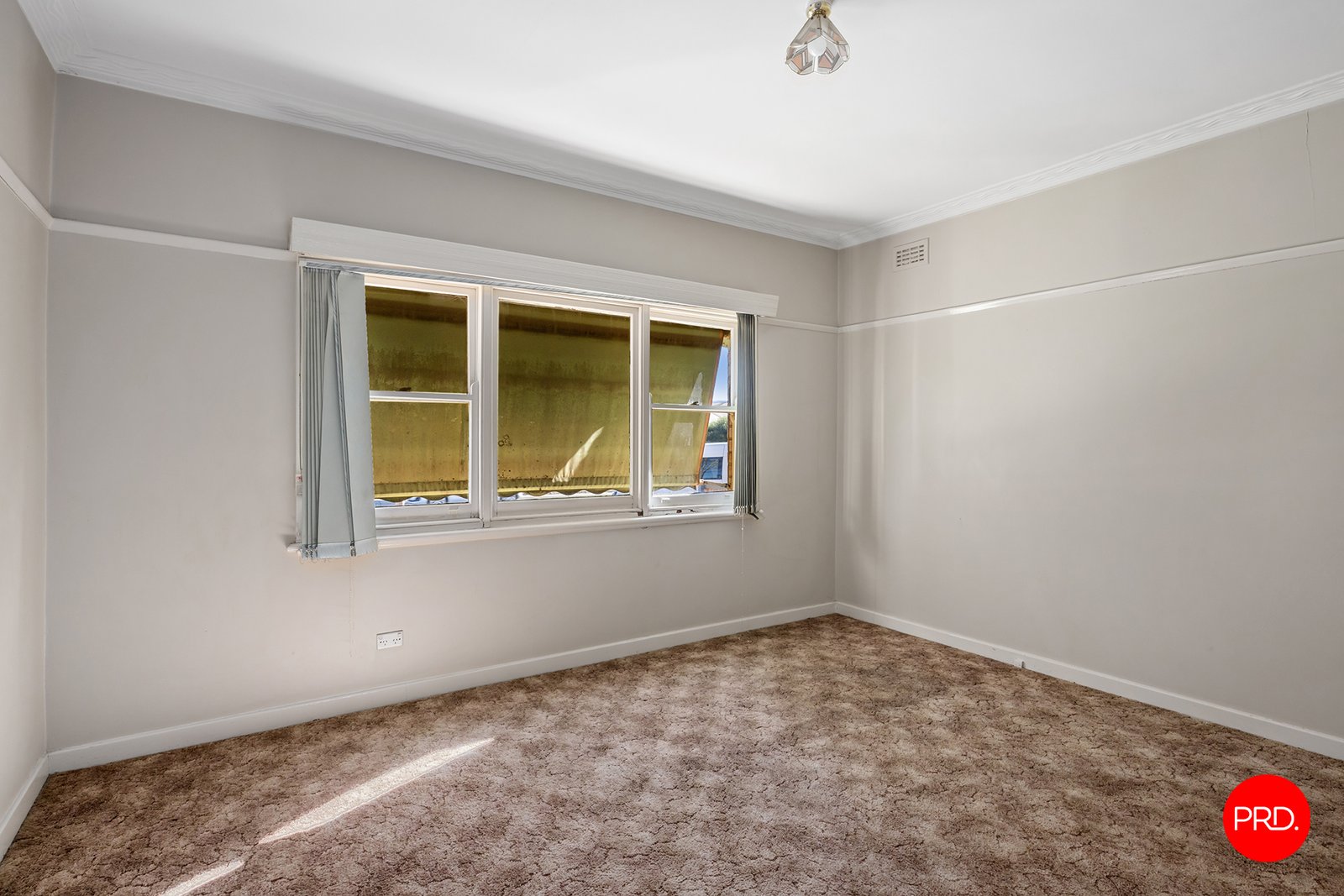 390 Napier Street WHITE HILLS 5